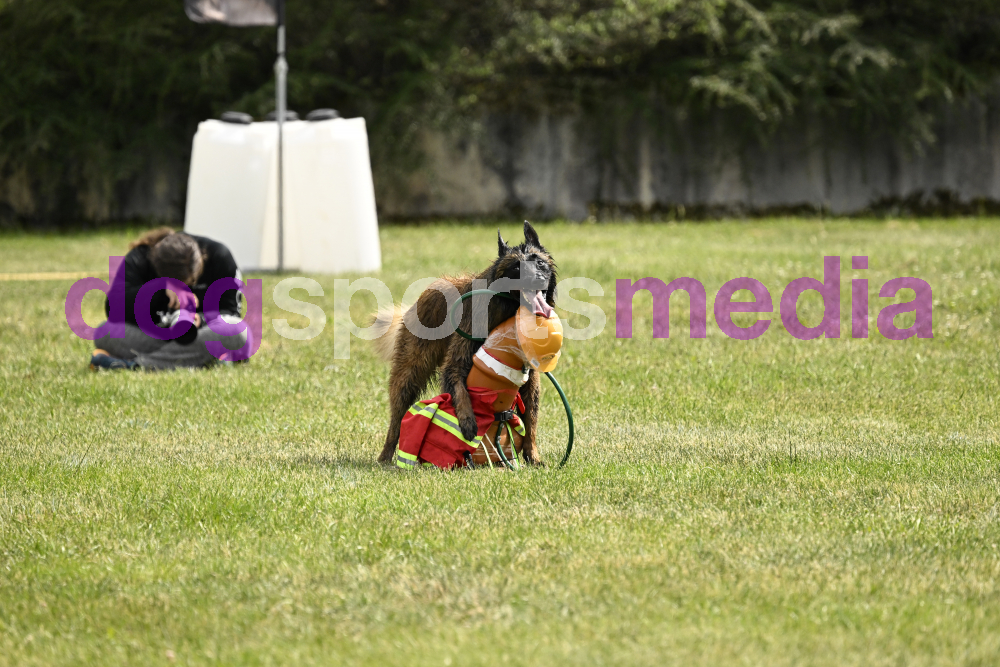 Preview _JRI_20080.jpg